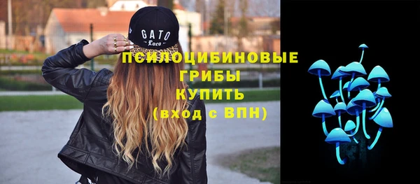 стаф Осташков