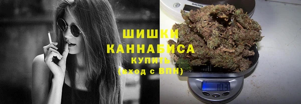 стаф Осташков