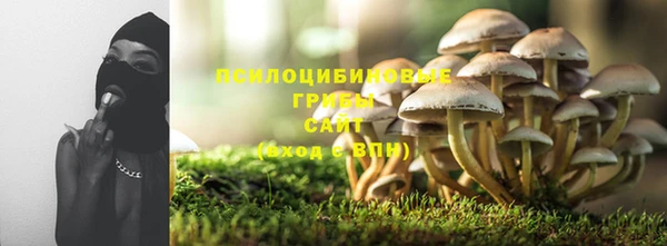 МДПВ Осинники