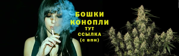 МДПВ Осинники