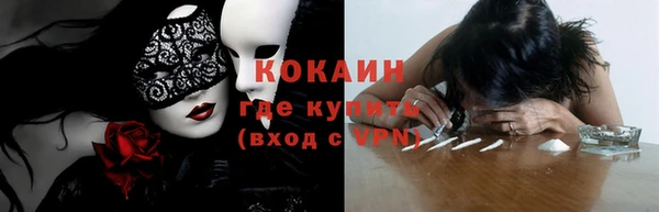 стаф Осташков