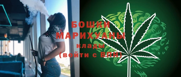 стаф Осташков